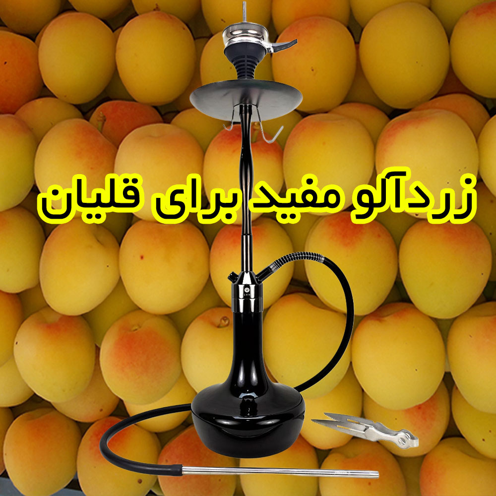 آیا زردآلو برای قلیان و ضررهای قلیان کشیدن مفید است ؟