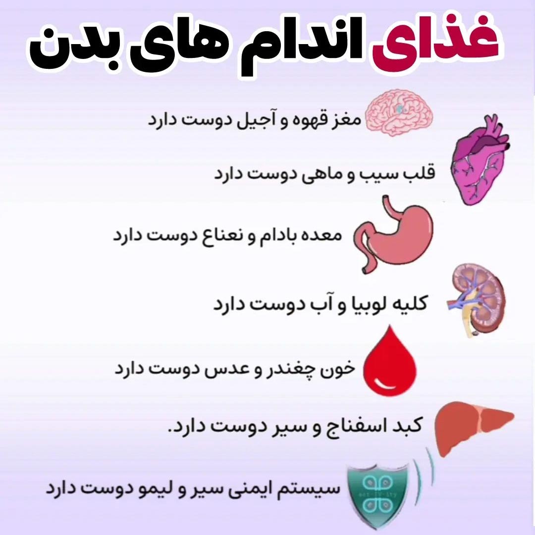 اسفناج و سیر مفید برای کبد