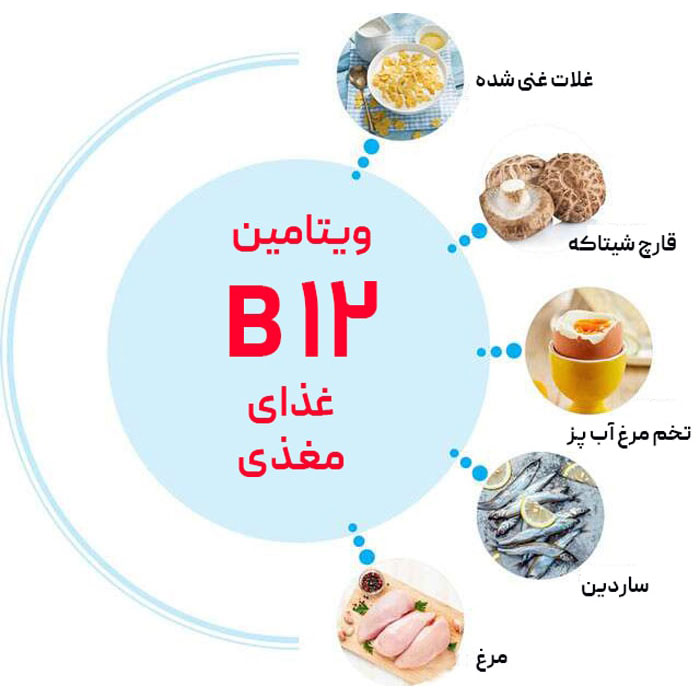 بهترین غذاهای مغذی برای ویتامین ب12 + 5 تا بمب ویتامین