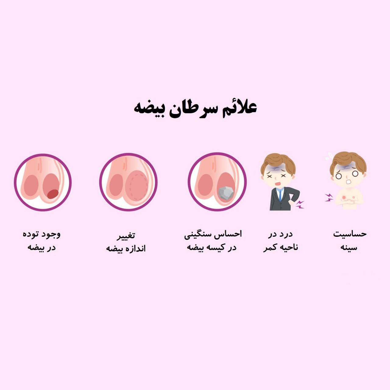 علائم سرطان بیضه پیشرفته چیست ؟ آیا سرطان بیضه درمان قطعی دارد ؟