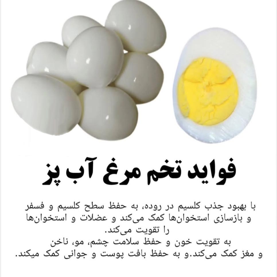 فواید تخم مرغ آبپز + جوانی پوست