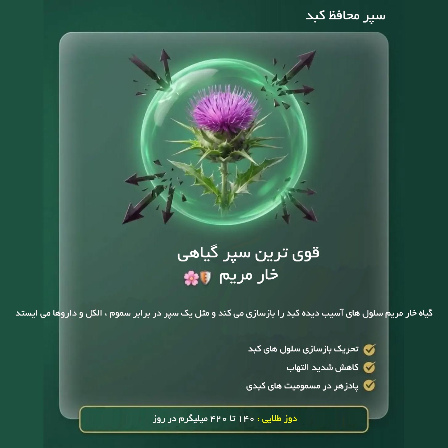 قوی ترین درمان کبد + سپر محافظ کبد = گیاه خار مریم