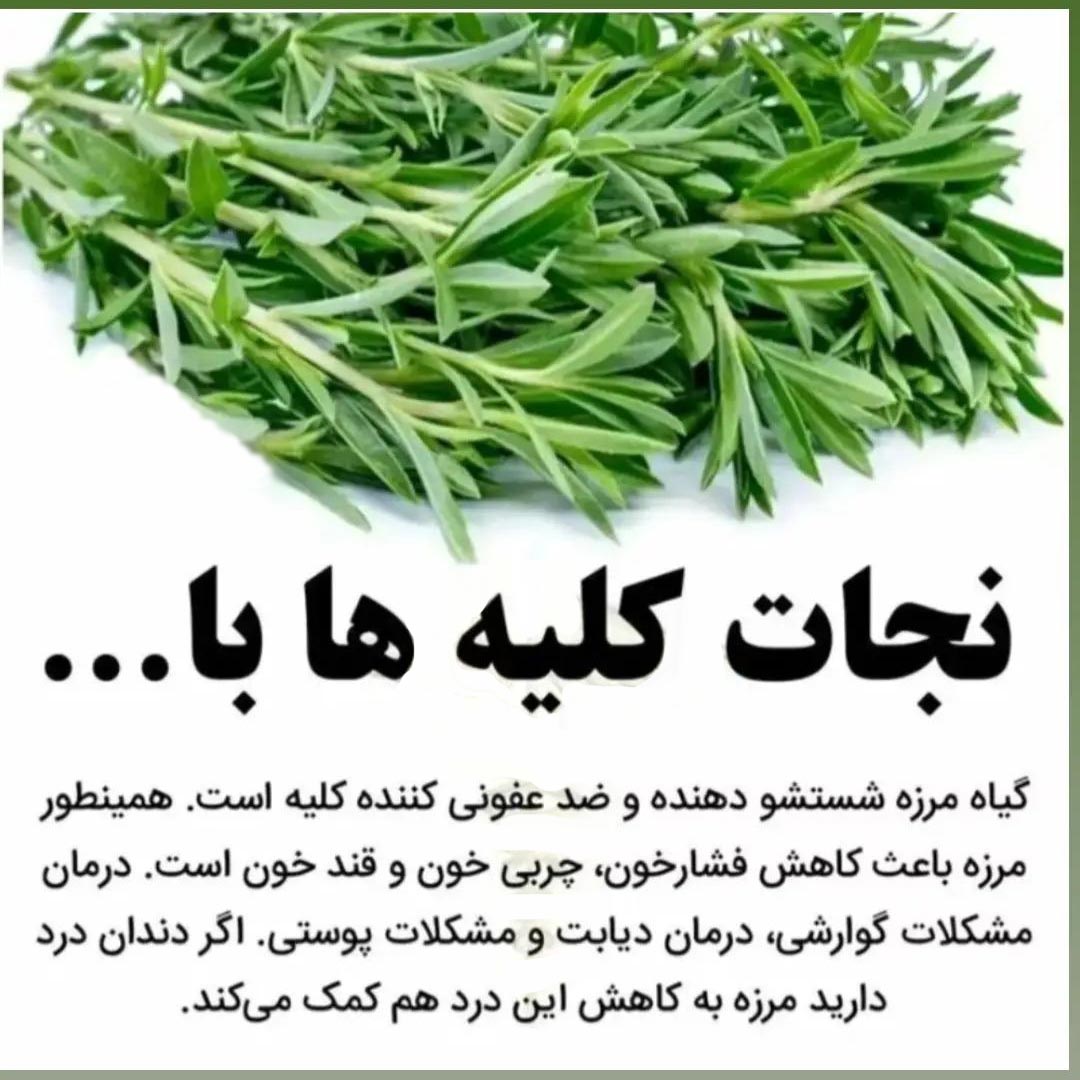 مرزه برای درمان دندان درد
