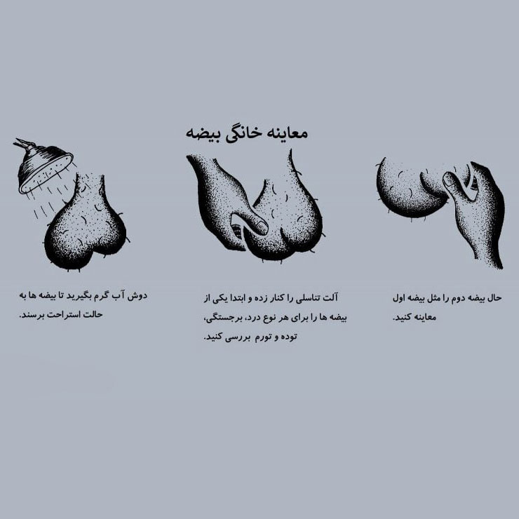 معاینه خانگی بیضه فقط در یک دقیقه
