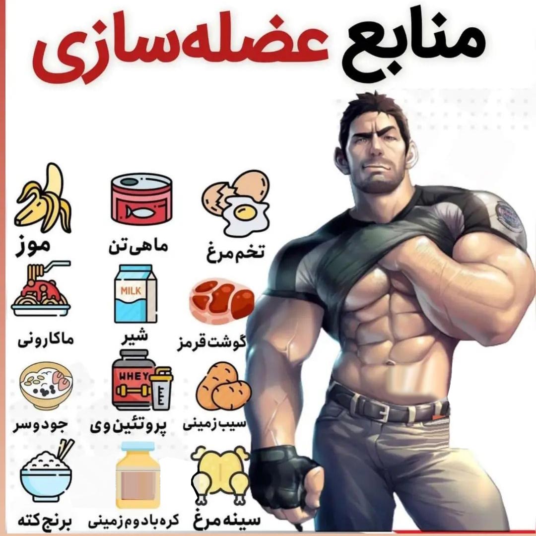 منابع عضله سازی غذایی