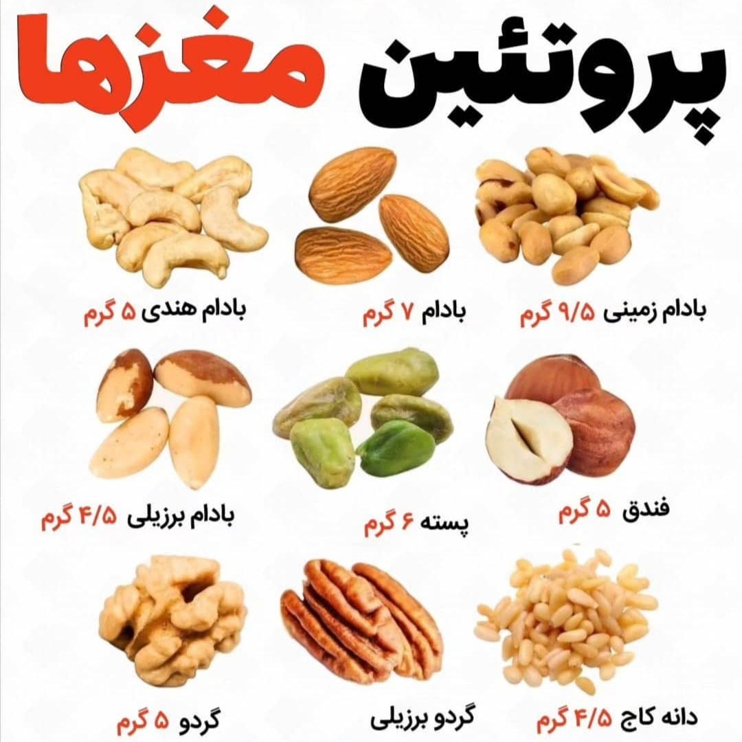پروتئین مغزهای آجیل برای تناسب اندام