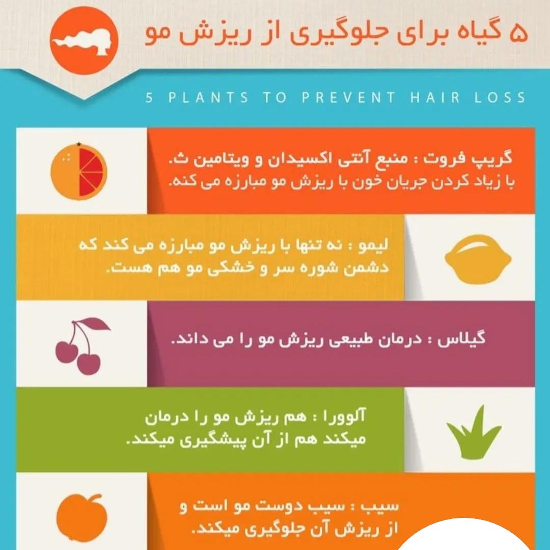 پنج گیاه برای جلوگیری از ریزش مو