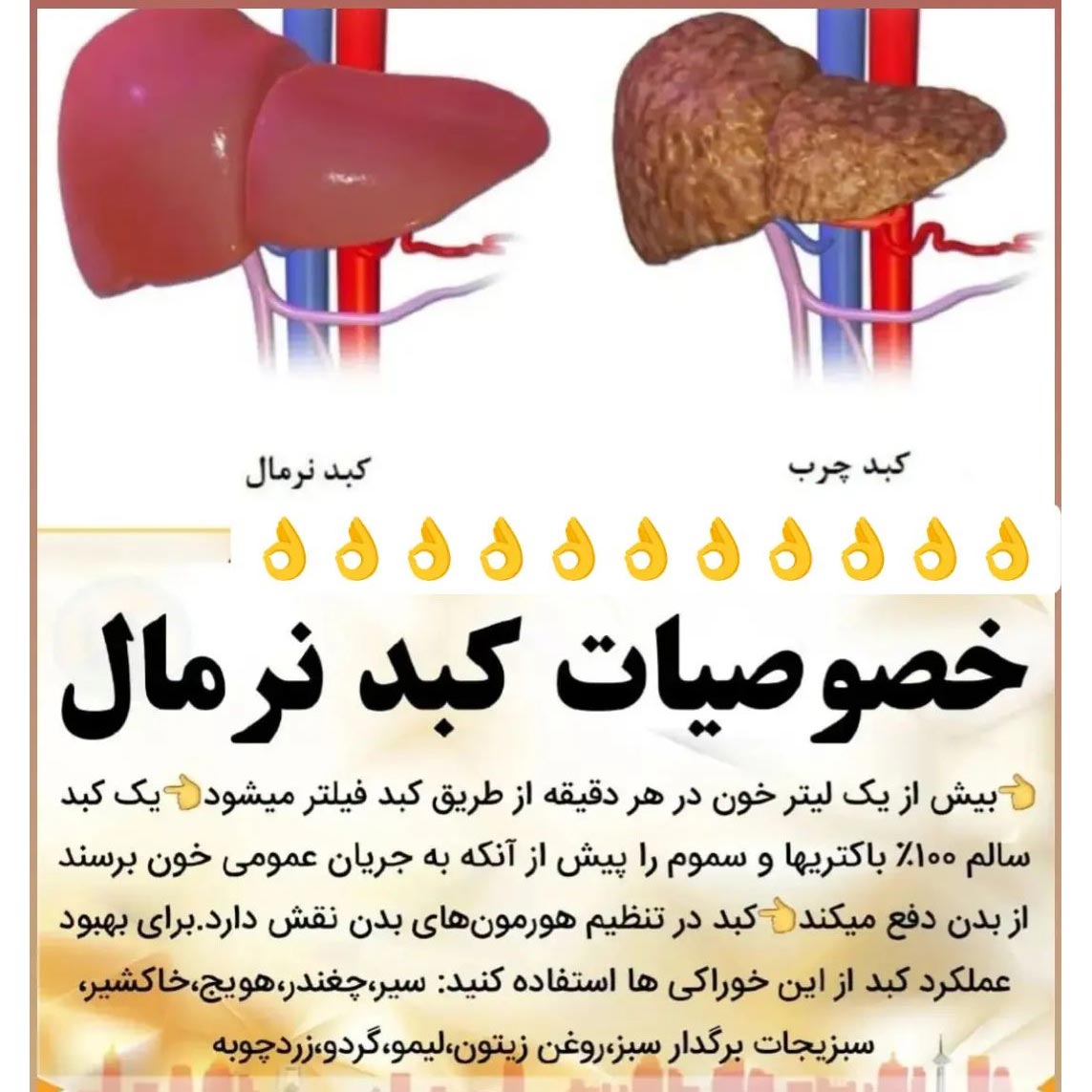 کبد سالم 100% باکتریها و سموم را دفع میکند
